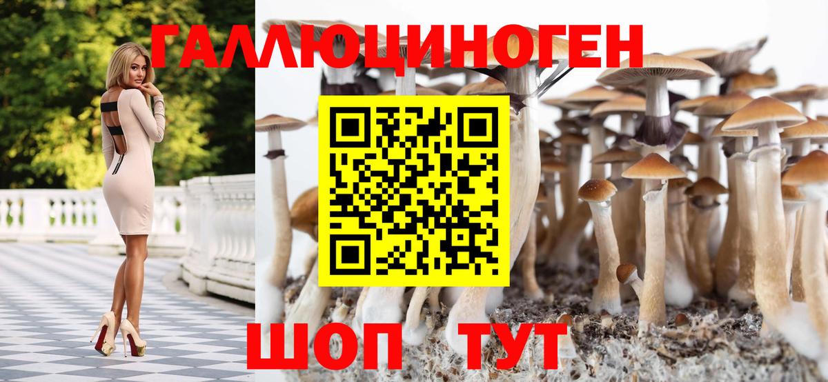 Галлюциногенные грибы GOLDEN TEACHER  Вход с VPN  купить наркотики сайты  Нижний Тагил 